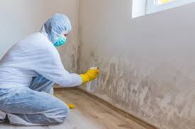 Mold Removal for HVAC Installations in Mount Airy, MD